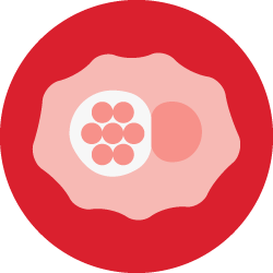 Chlamydia