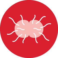 Gonorrhea
